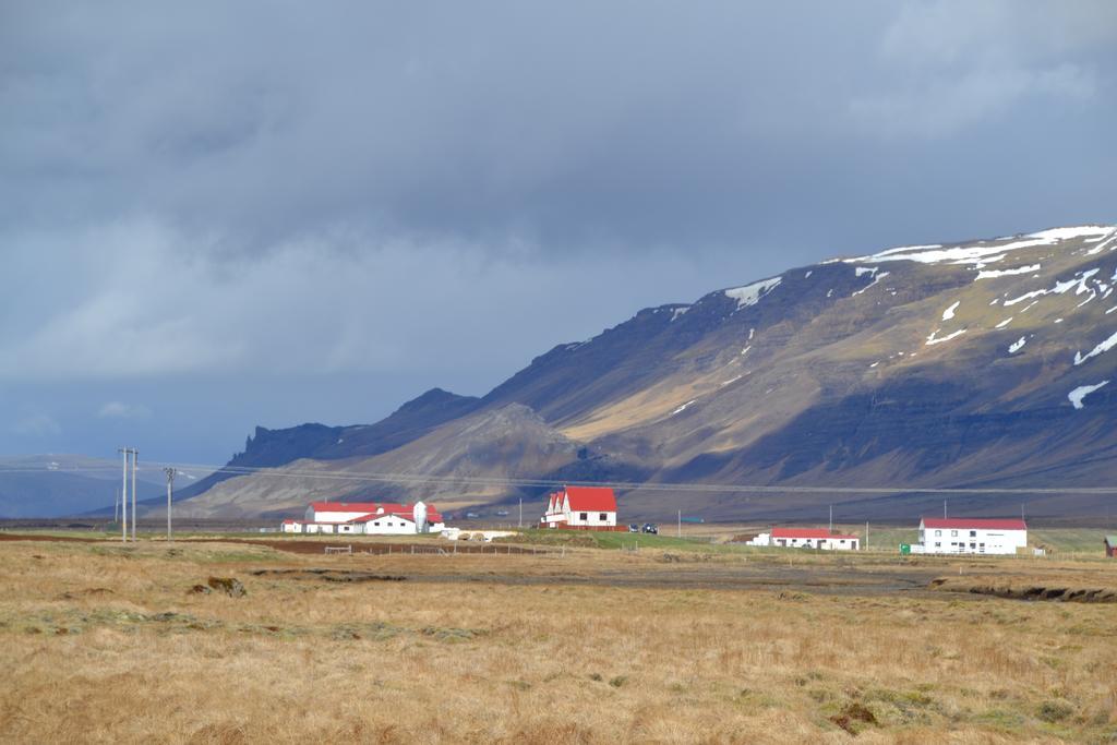 Snorrastadir Farm Holidays Borgarnes Eksteriør billede